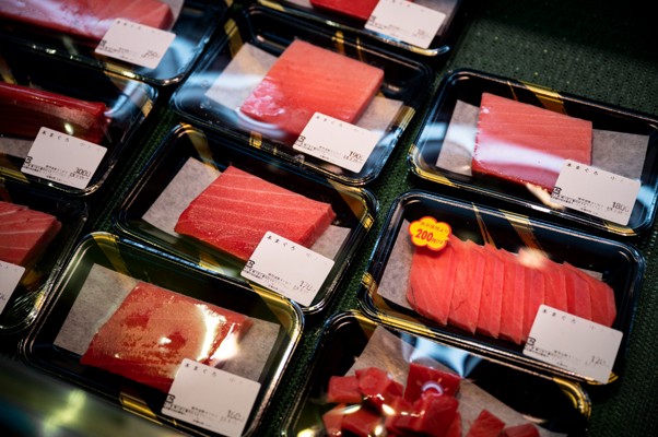 Clamshell Packaging vs Blister Packaging: Which Is Right for Your Product?