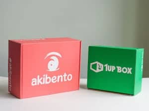 Akibento shipping carton